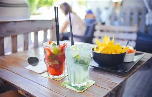 15 рецептов холодных закусок на лето