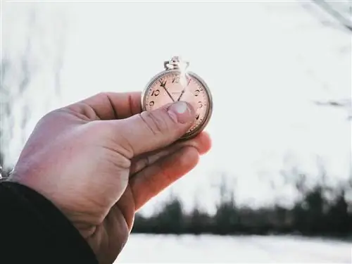 Каковы 7 главных приоритетов в жизни?