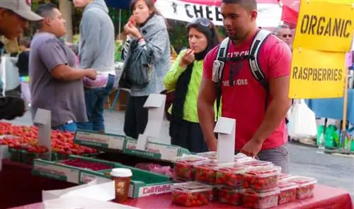 8. Здоровые привычки питания, улучшающие работоспособность для занятых людей