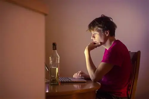 5 удивительных сильных сторон ночных сов, о которых вы могли не знать