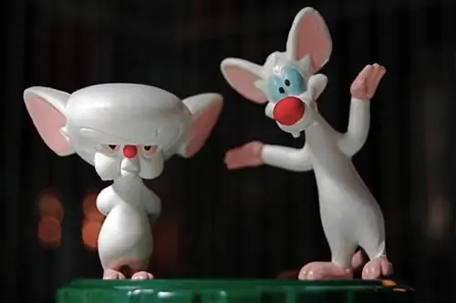 20 забавных вещей, которые каждый может делать каждый день, чтобы стать умнее