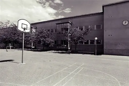 7 важных уроков успеха, которым вас не научат в школе