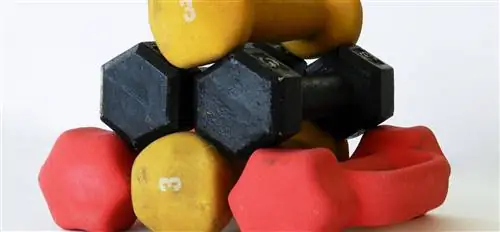 10 удивительных преимуществ потоотделения, о которых вы не знали