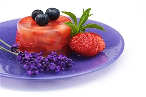 10 вкуснейших десертов, которые можно приготовить за 5 минут