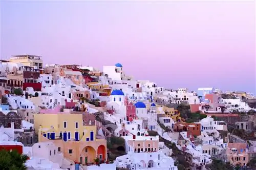 8 правил, которым мы можем научиться из греческой диеты и образа жизни