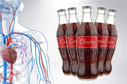 6 вещей, которые произойдут, когда вы начнете пить колу каждый день