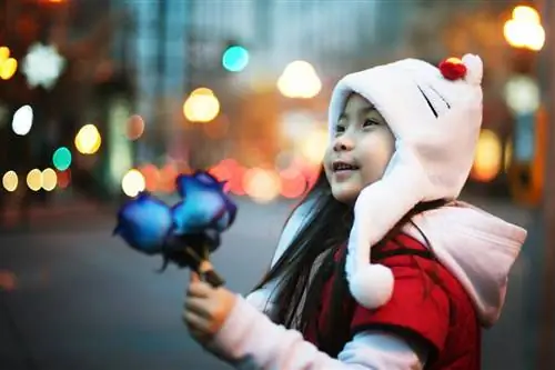 10 забытых истин о счастье