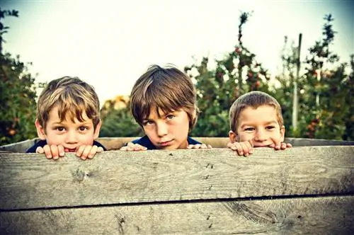 5 причин, по которым средние дети становятся великими лидерами