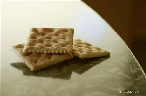 Чего ожидать на первом месяце беременности