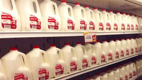 Ты то, что ты пьешь: зачем быть избирательным в отношении потребляемого молока