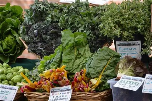 Как вам вредит дефицит магния