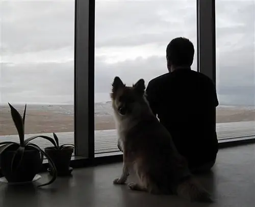 Стойкая депрессия повреждает когнитивные функции, заключает исследование