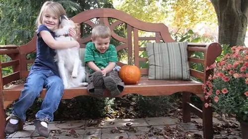 10 осенне-зимних предметов декора своими руками, которые ваши дети могут помочь вам создать