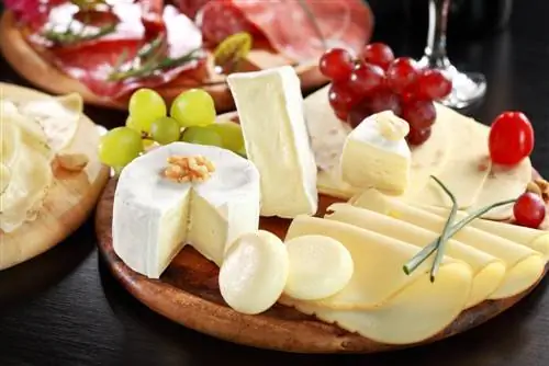 Что нельзя есть во время беременности