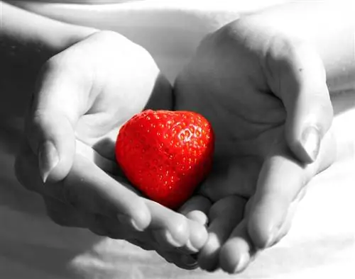 Ученые говорят, что предположение о том, что мужчины чаще страдают от сердечного приступа, ставит под угрозу здоровье женщин