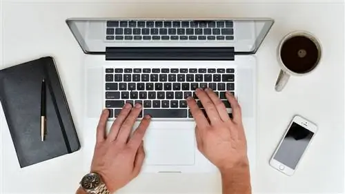 5 онлайн-инструментов, которым должен научиться каждый фрилансер