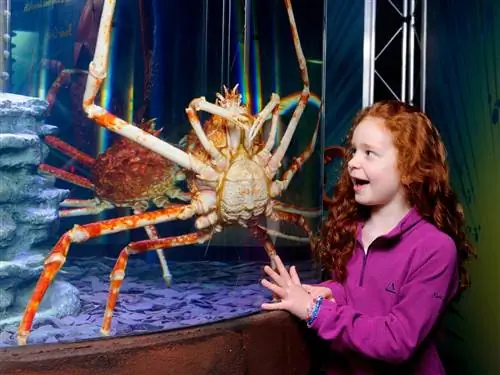 10 лучших развлечений на свежем воздухе для всей семьи