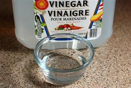 Изображение Изображение