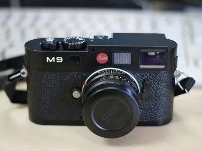 7 Семья Рейнхольдов