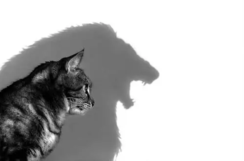 4 способа систематически заменять ограничивающие привычки на расширяющие возможности