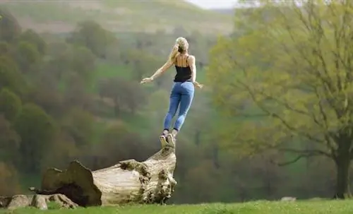 Самый простой способ найти свою цель