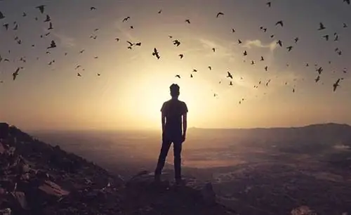 7 законов воплощения необычной мечты