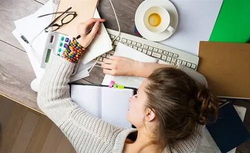 5 вопросов, которые нужно задать себе, чтобы оставаться продуктивным