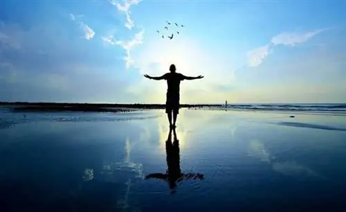 4 вещи, которые вам нужны для достижения максимальной производительности без усилий