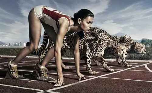 5 практических способов добиться максимальной производительности