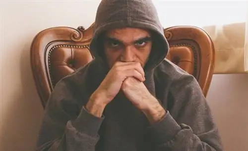 Чтобы добиться успеха, нужно оставаться голодным и смиренным