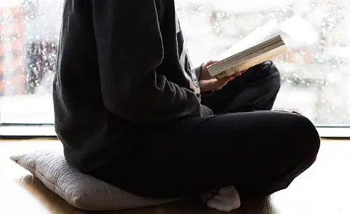 5 упражнений на нейропластичность, которыми занимаются 3% самых счастливых и успешных людей