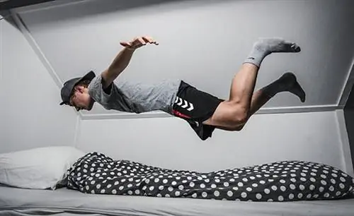 Дремлешь - проигрываешь! 4 совета, как встать с постели, когда сработал будильник