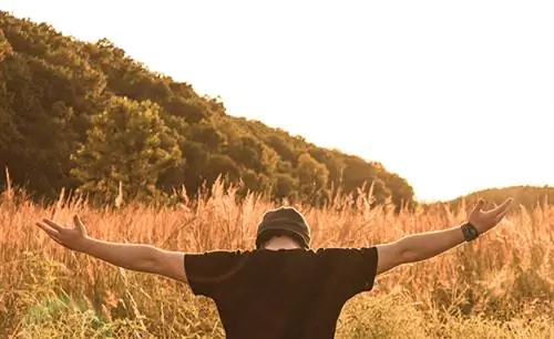 Как я стал вирусным блоггером: это не то, что вы думаете