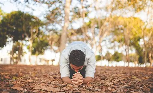 Почему солнечный свет заставляет вас чувствовать себя сенсационно