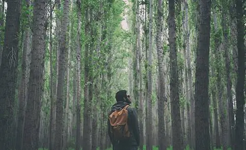 Как прожить 12 месяцев без алкоголя и вернуться чемпионом