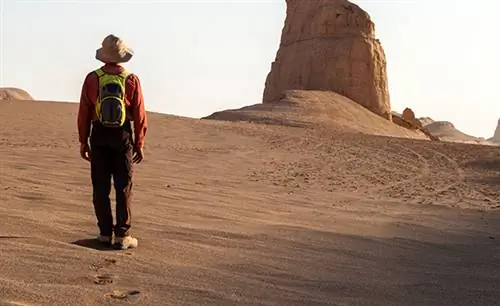 Почему жизнь на быстрой полосе приведет к тому, что вы выйдете из-под контроля