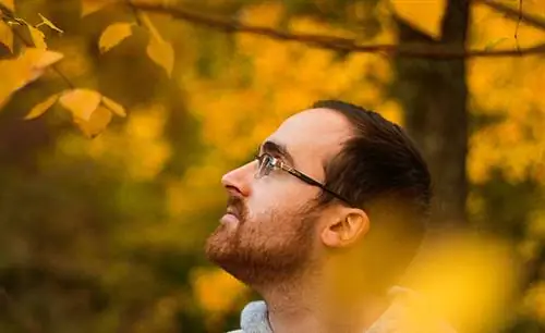 6 советов по здоровью, которые меняют жизнь и преобразуют вашу энергию – Тайлер Толман