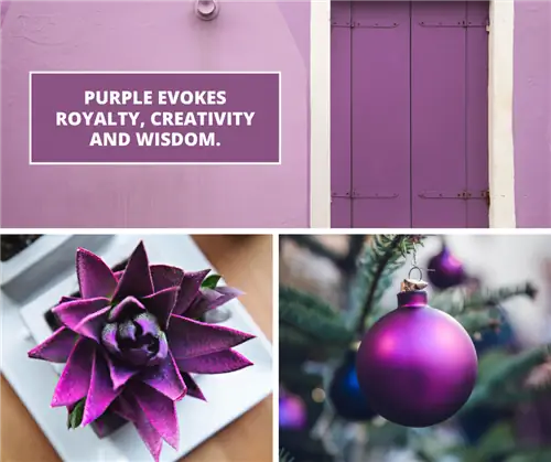 фиолетовый