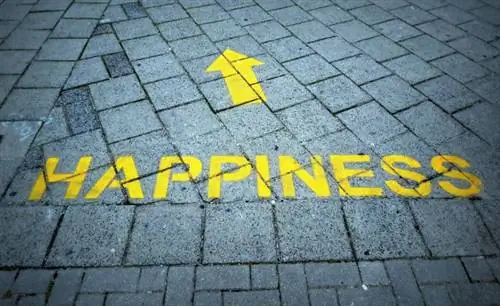 10 лучших способов купить счастье