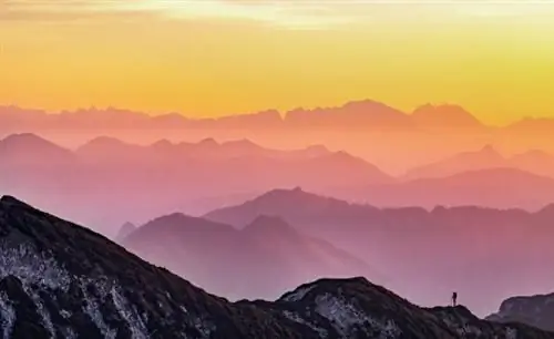 (Видео) Победа или поражение? – Ведение вашего бизнеса по методу Чарли Шина