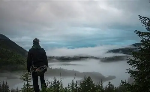 9 стратегий, которые ваш стартап может использовать в первый год