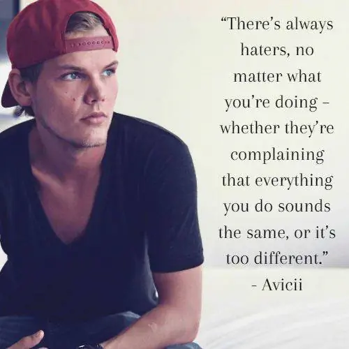 Цитаты Авичи