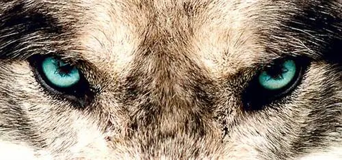 Как сила концентрации может привести вас к успеху