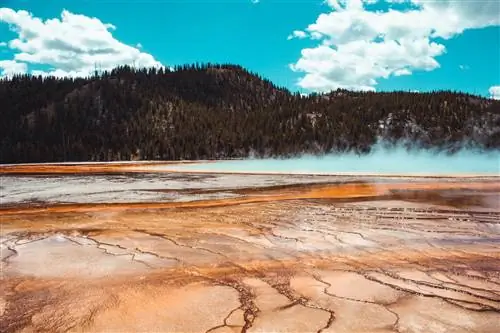 Возвращение в четверг: Аналемма Земли