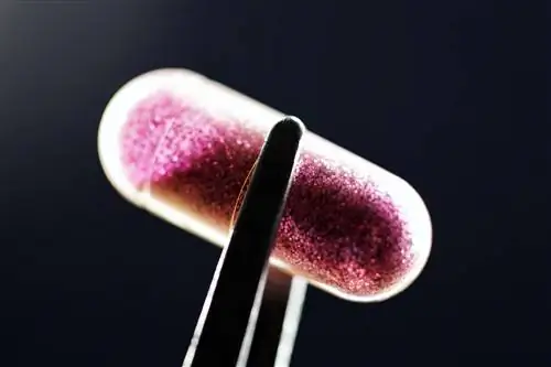 Врачи, которые получали бесплатные обеды от Big Pharma, чаще прописывали опиоиды