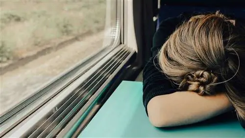 Долой жаворонков: о достоинствах ленивого сна