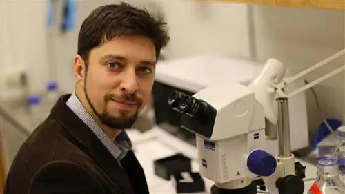 Подсказки Росомахи: регенерация тканей у людей