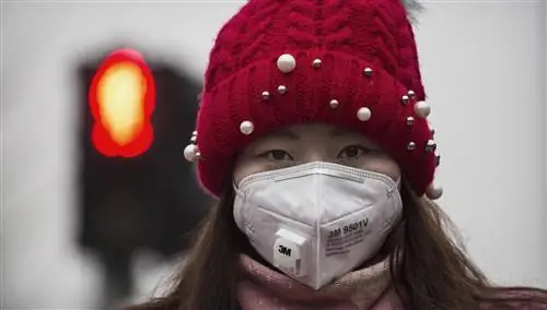 Загрязнение воздуха снижает интеллект человека