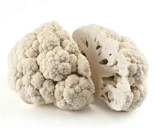 Может ли нейробиология победить ожирение?