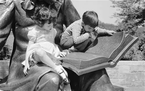 Универсальная активация мозга обнаружена при чтении историй